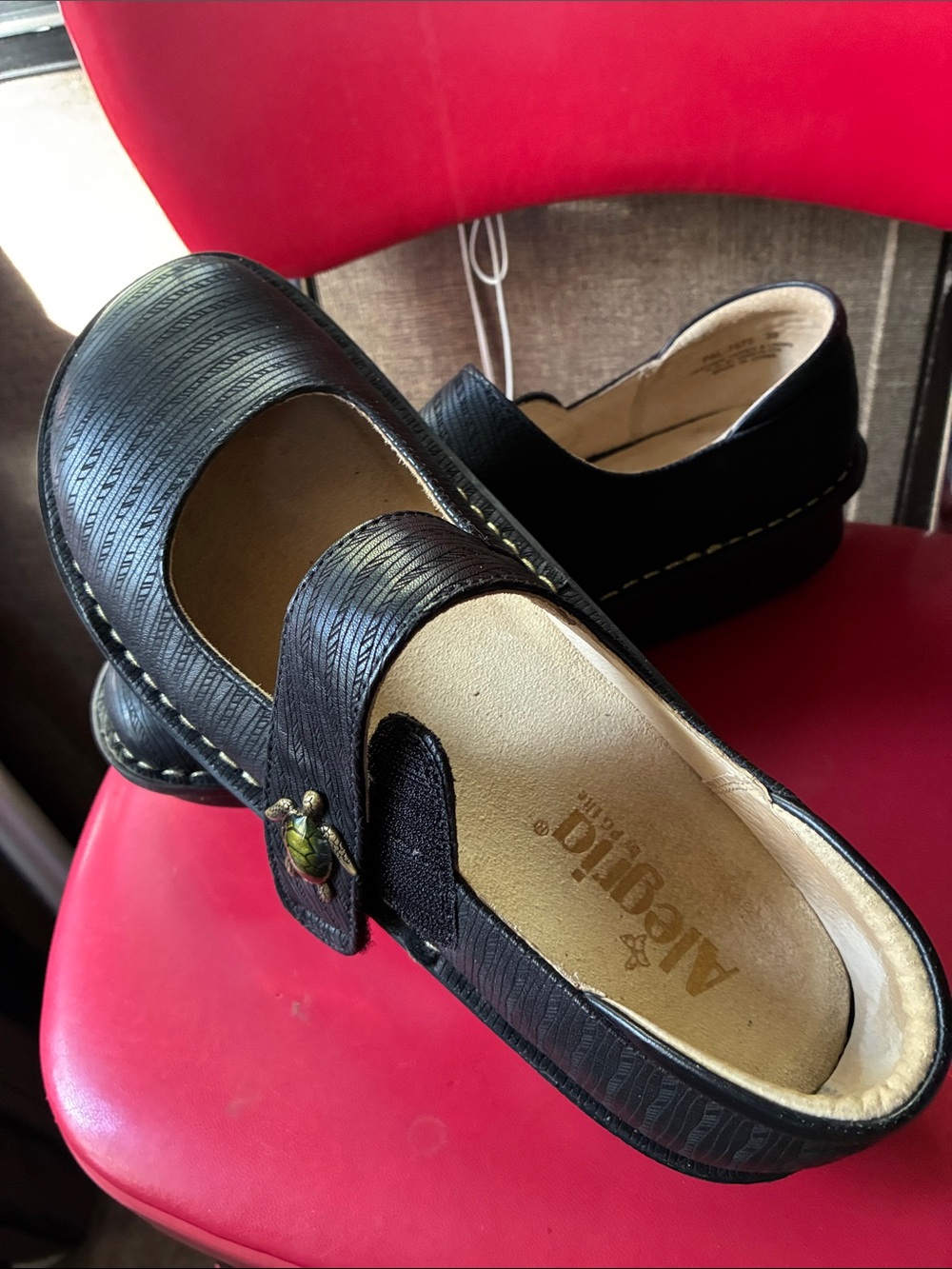 Alegria Black Mary Jane Loafer with Decorative Buckle